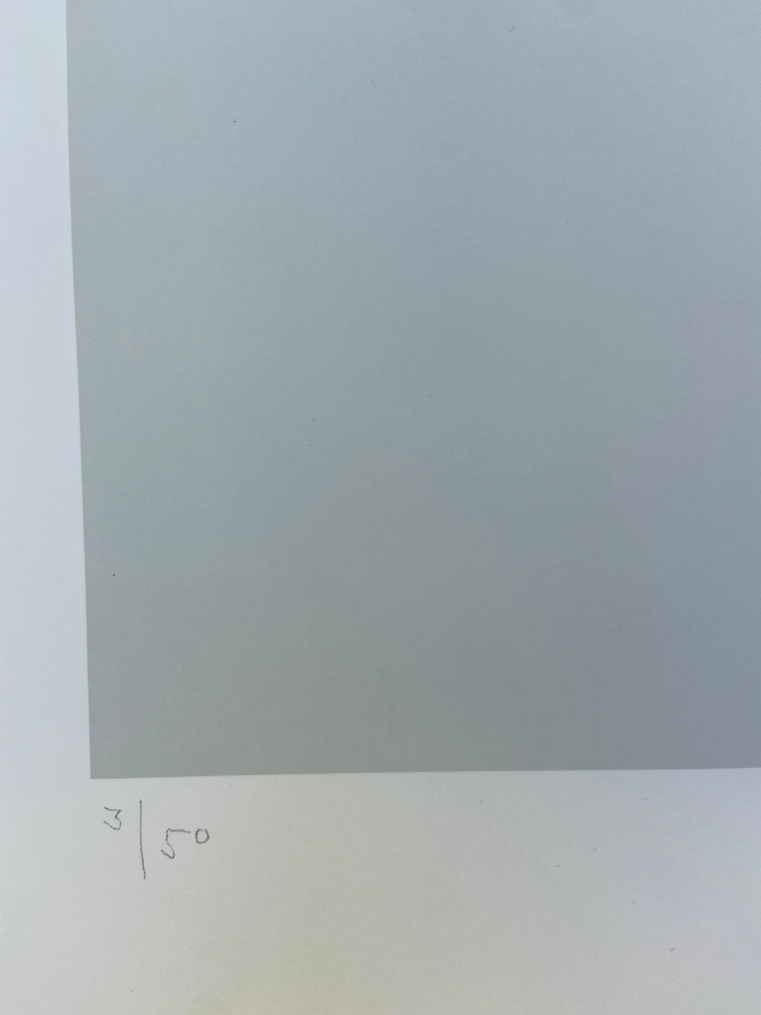 Gottfried Honegger - Untitled - 1990 For Sale 4