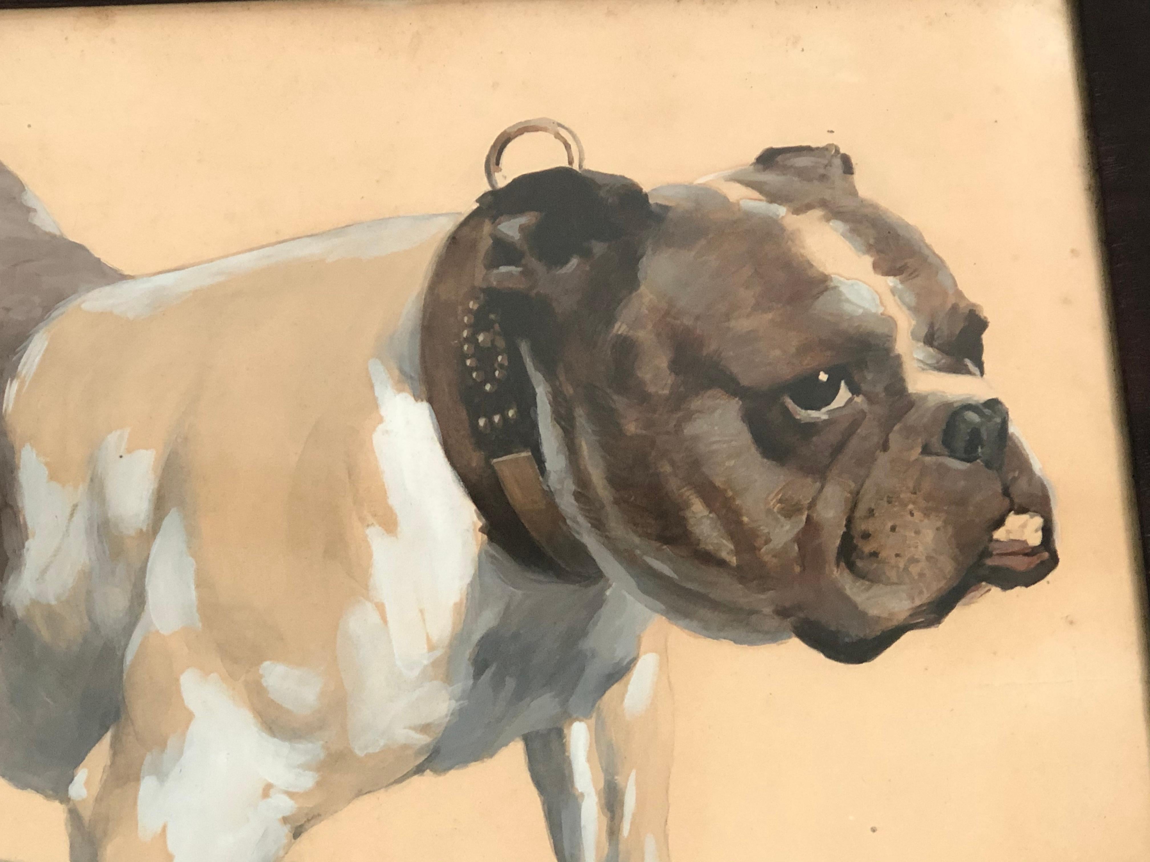 North American Gouache Drawing of a Bulldog, American in Original Frame, circa 1890-1900