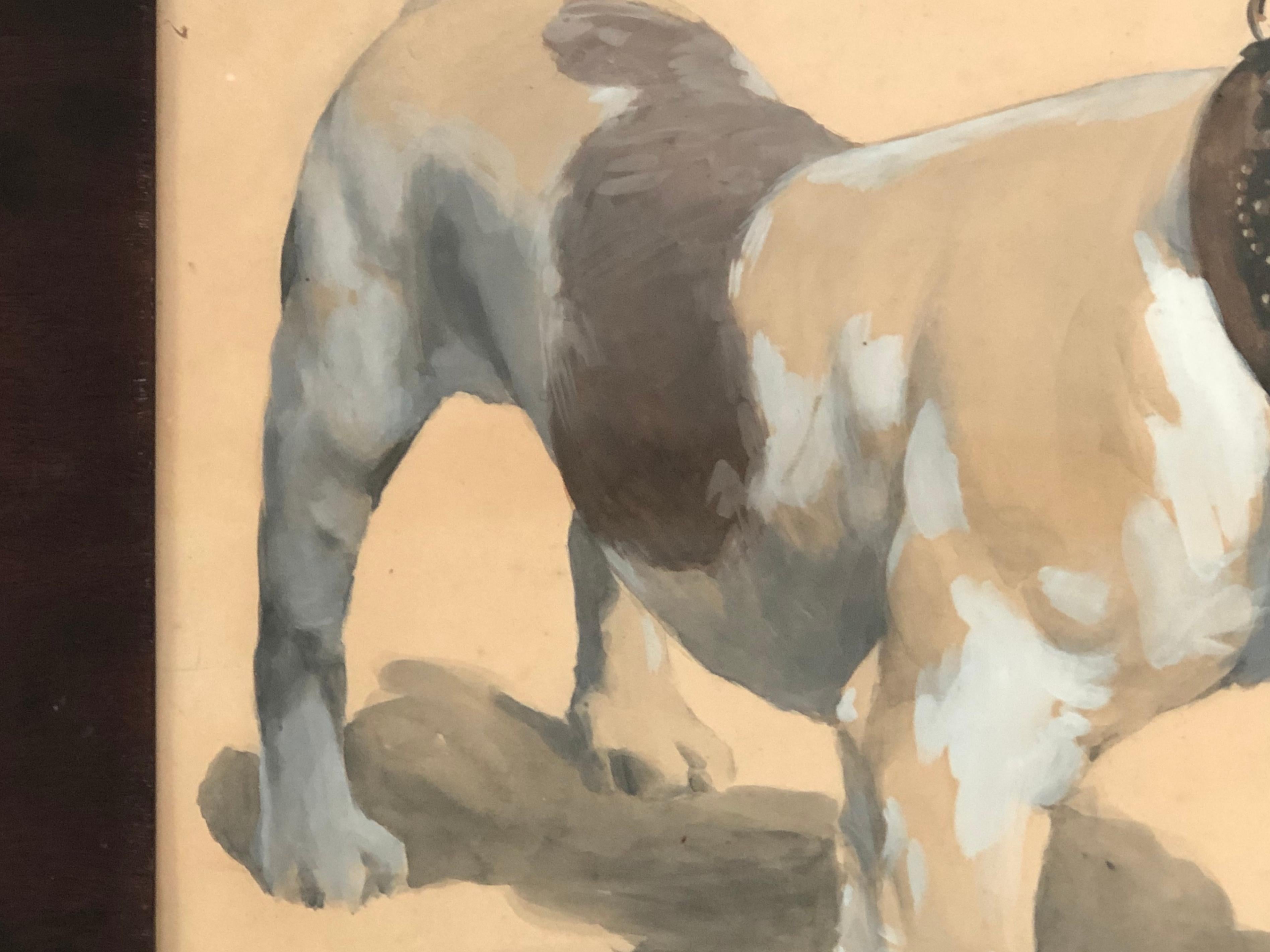 Gouache Drawing of a Bulldog, American in Original Frame, circa 1890-1900 In Good Condition In Essex, MA