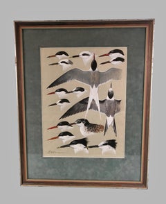 Gouache on Paper by Keith Shackleton MBE of Terns
