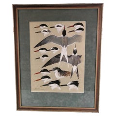 Gouache on Paper by Keith Shackleton MBE of Terns