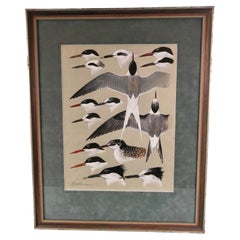 Gouache sur papier de Keith Shackleton, MBE de Terns