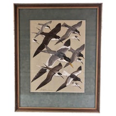 Gouache sur papier de Keith Shackleton MBE (anglais 1923-2015) Terns in Flight