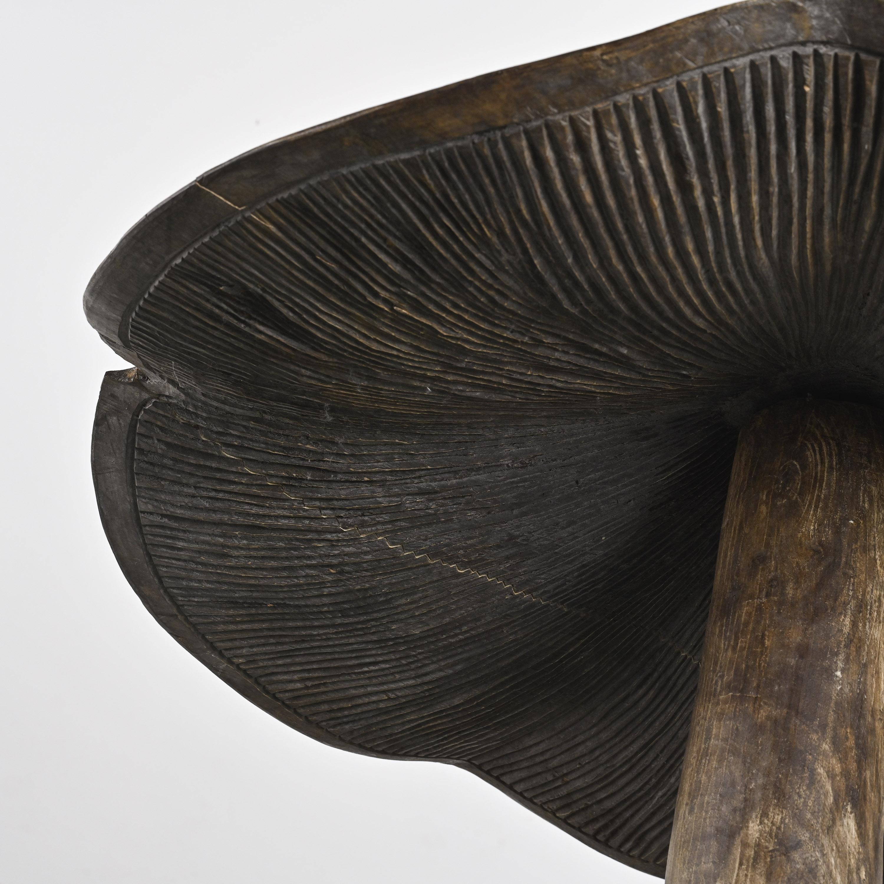 Gouged wooden Mushroom by Robert and Trix Haussmann, circa 1970 For Sale 4