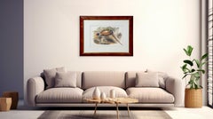 John Gould & Henry Constantine Richter Birds of England Pheasant Print