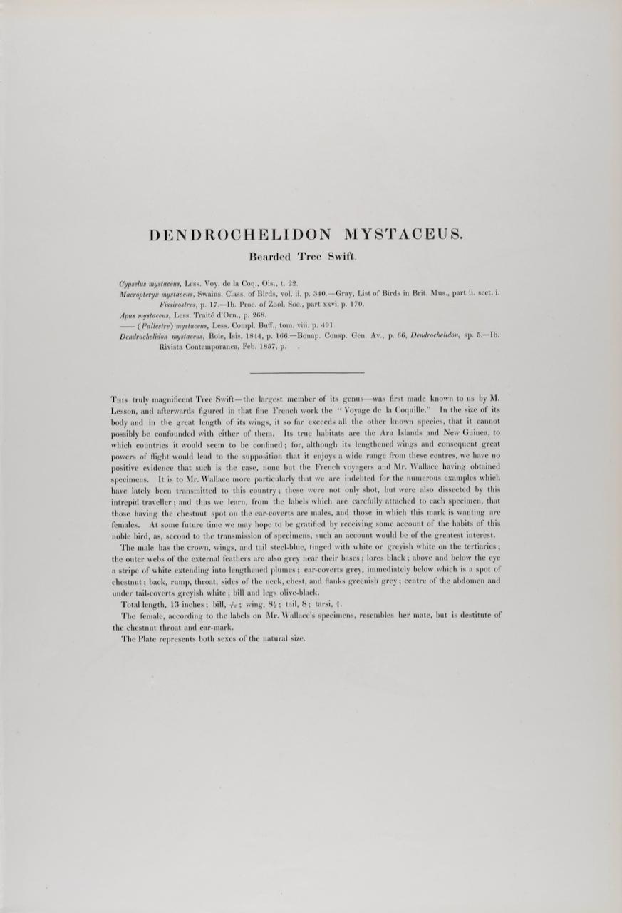 This is a remarkable hand-colored folio sized lithograph entitled 