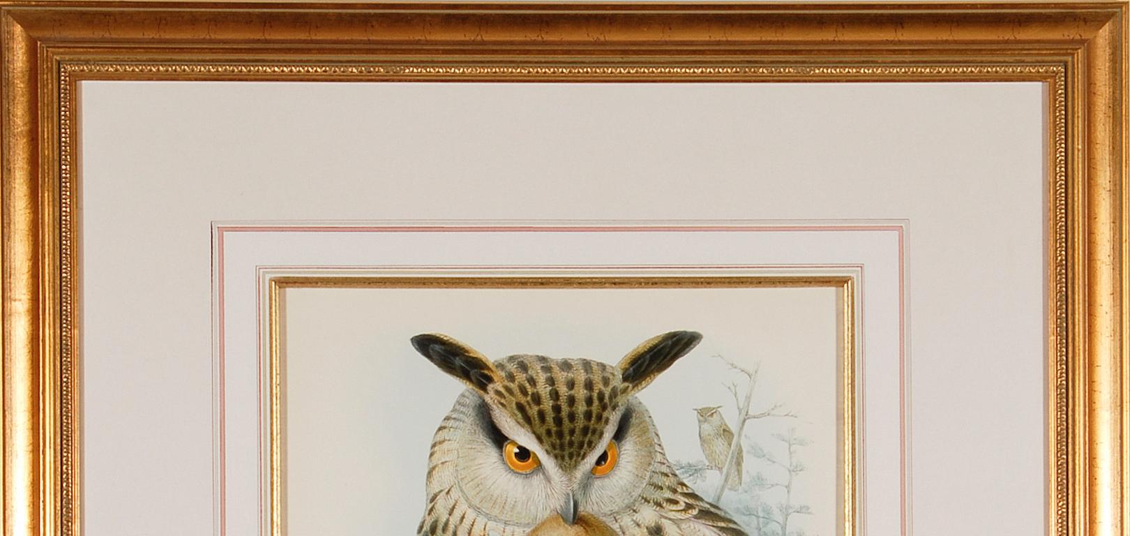 Eagle or Horned Owl: A Framed Original 19th C. Hand-colored Lithograph by Gould - Beige Landscape Print by John Gould and Henry Constantine Richter