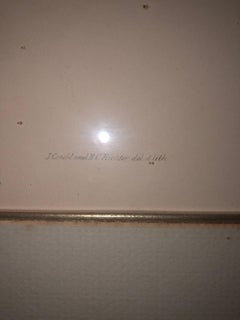 Gould & Richter Reed Warblers Lithograph