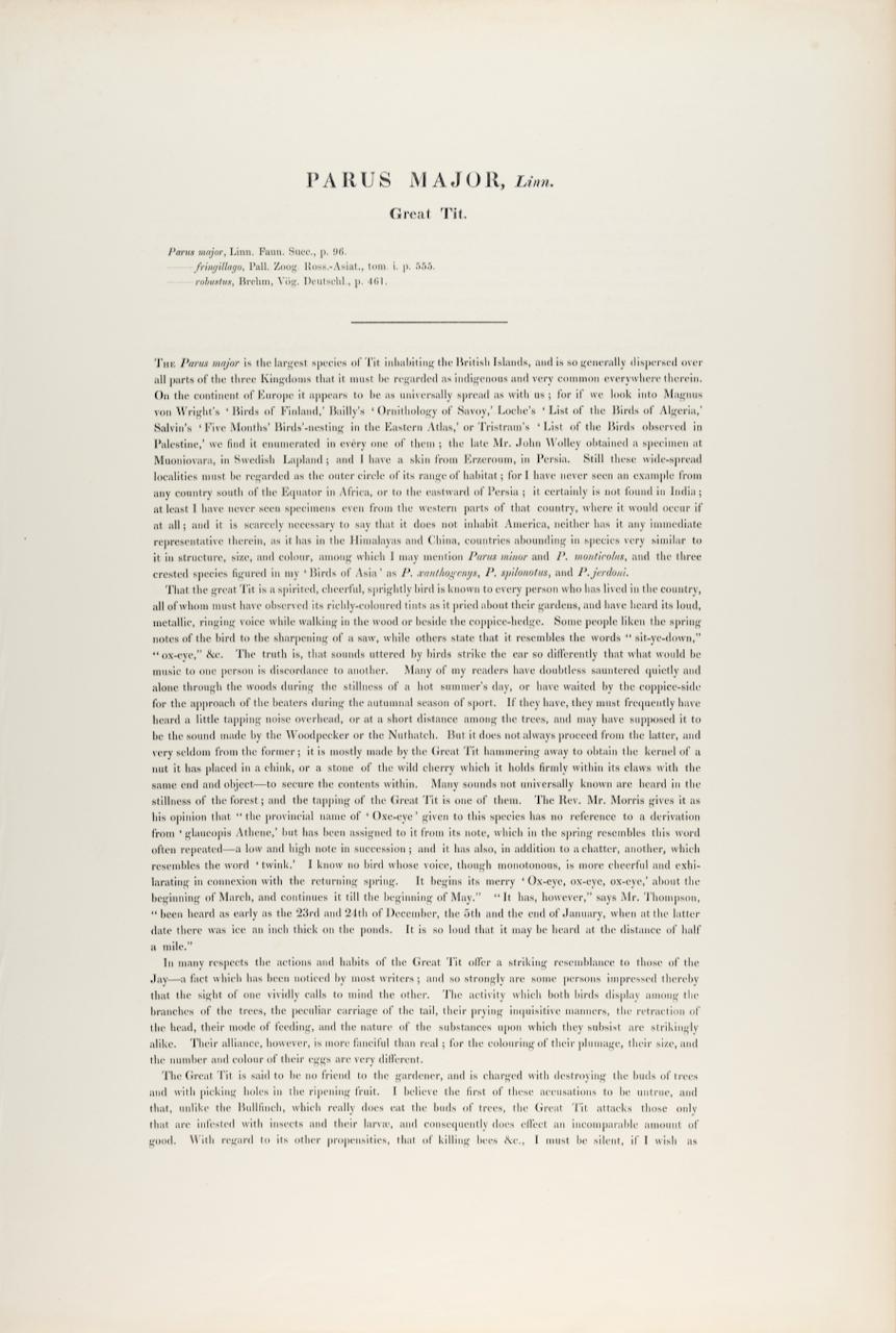 Il s'agit d'une magnifique lithographie de format folio colorée à la main intitulée 