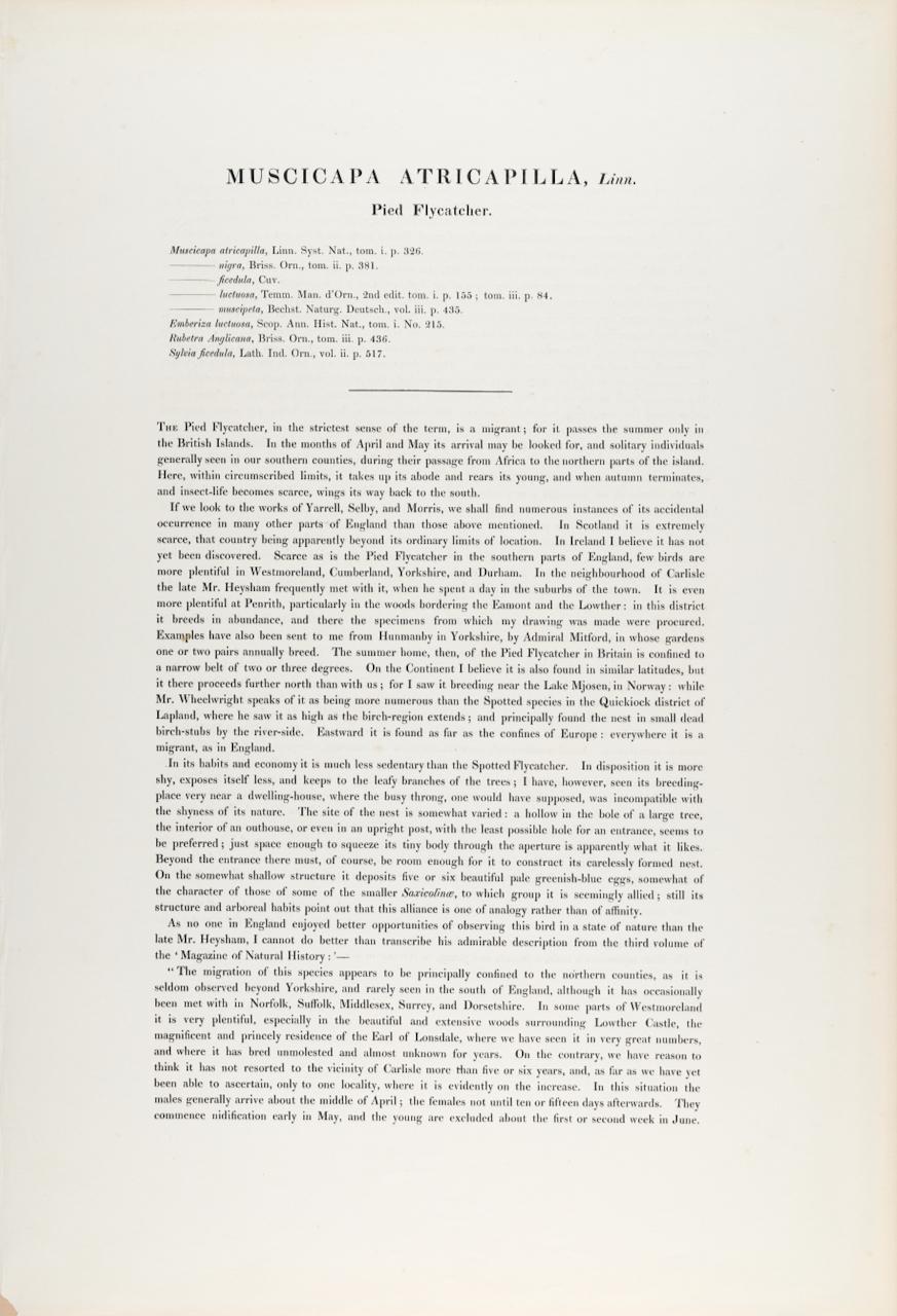 Il s'agit d'une magnifique lithographie de format folio, coloriée à la main, intitulée 