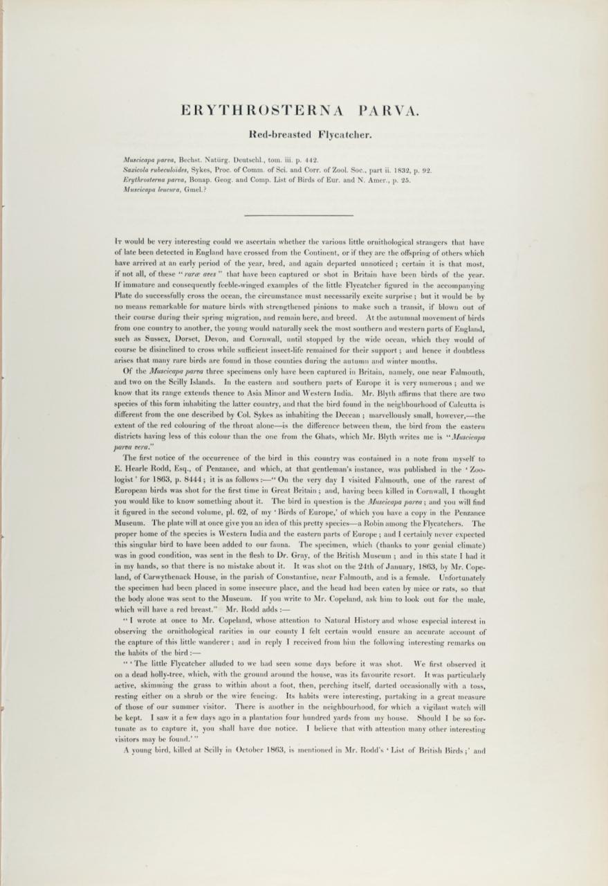 Dies ist eine beeindruckende handkolorierte Lithographie im Folioformat mit dem Titel 