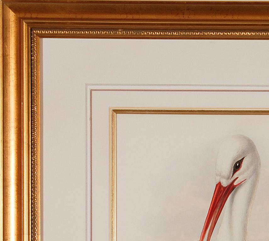 Stork Family: A Framed Original 19th C. Hand-colored Lithograph by Gould - Beige Animal Print by John Gould and Henry Constantine Richter