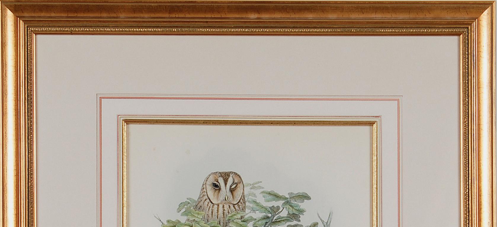 Tawny or Brown Owl: A Framed Original 19th C. Hand-colored Lithograph by Gould - Naturalistic Print by John Gould and Henry Constantine Richter