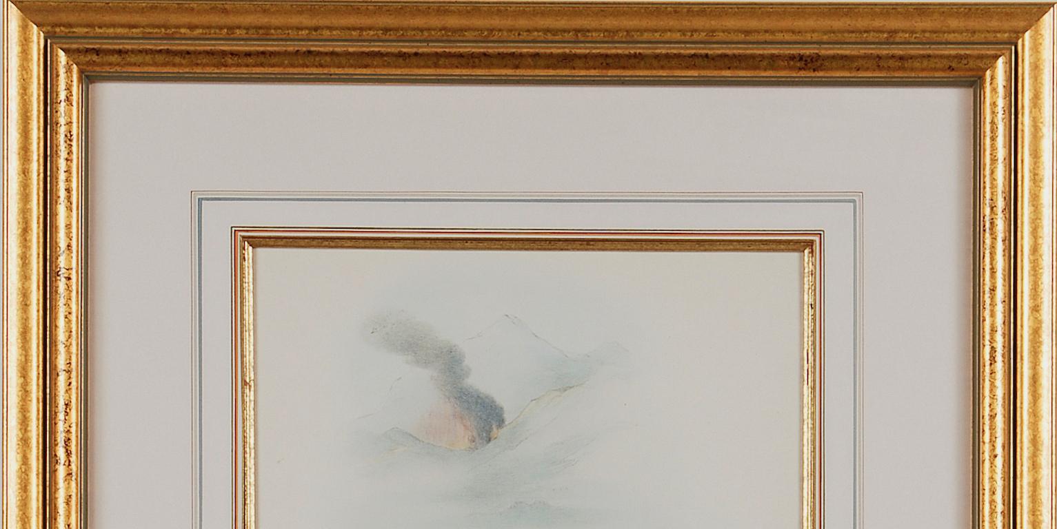 Thorn-Bill Hummingbirds: A Framed 19th C. Hand-colored Lithograph by Gould - Beige Animal Print by John Gould and Henry Constantine Richter