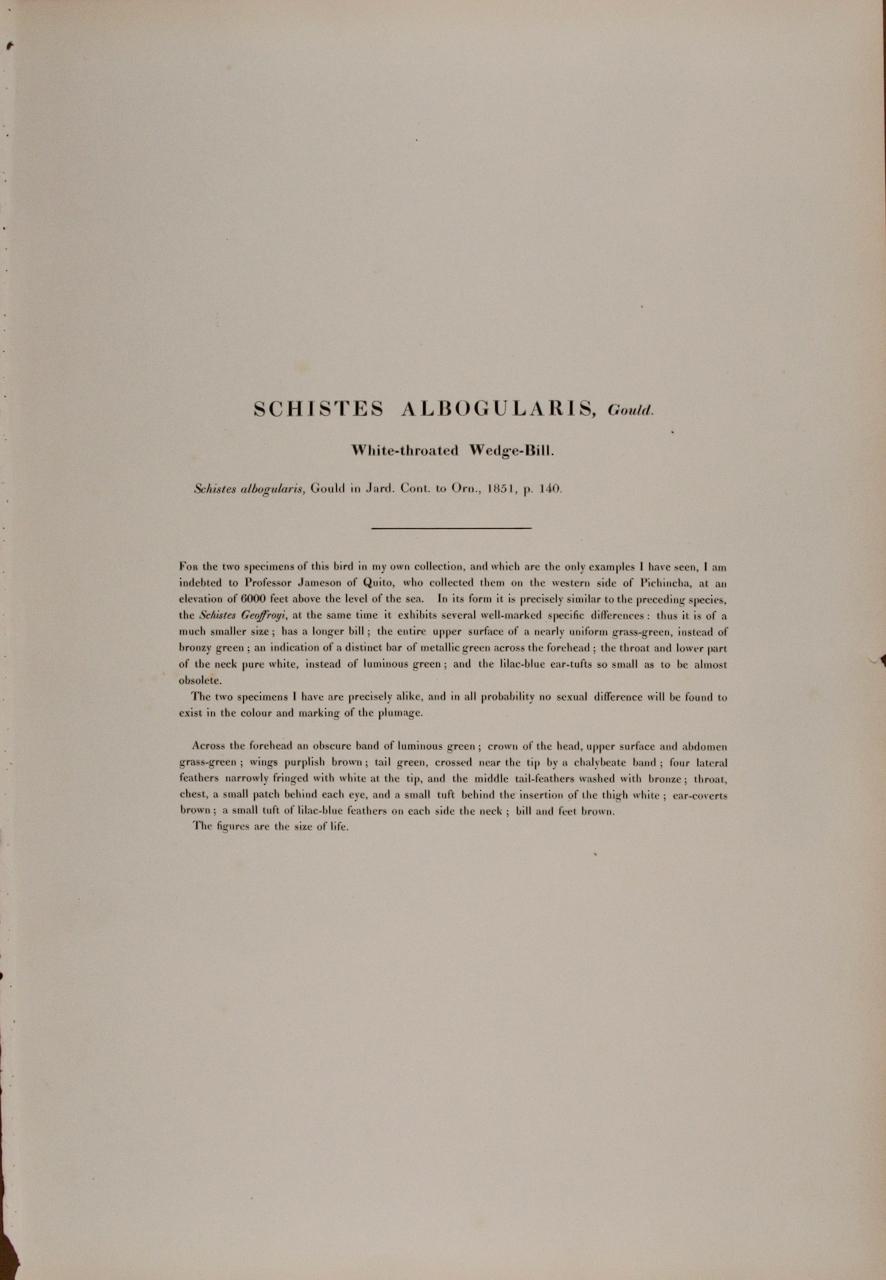 Il s'agit d'une remarquable lithographie de format folio, coloriée à la main, intitulée 