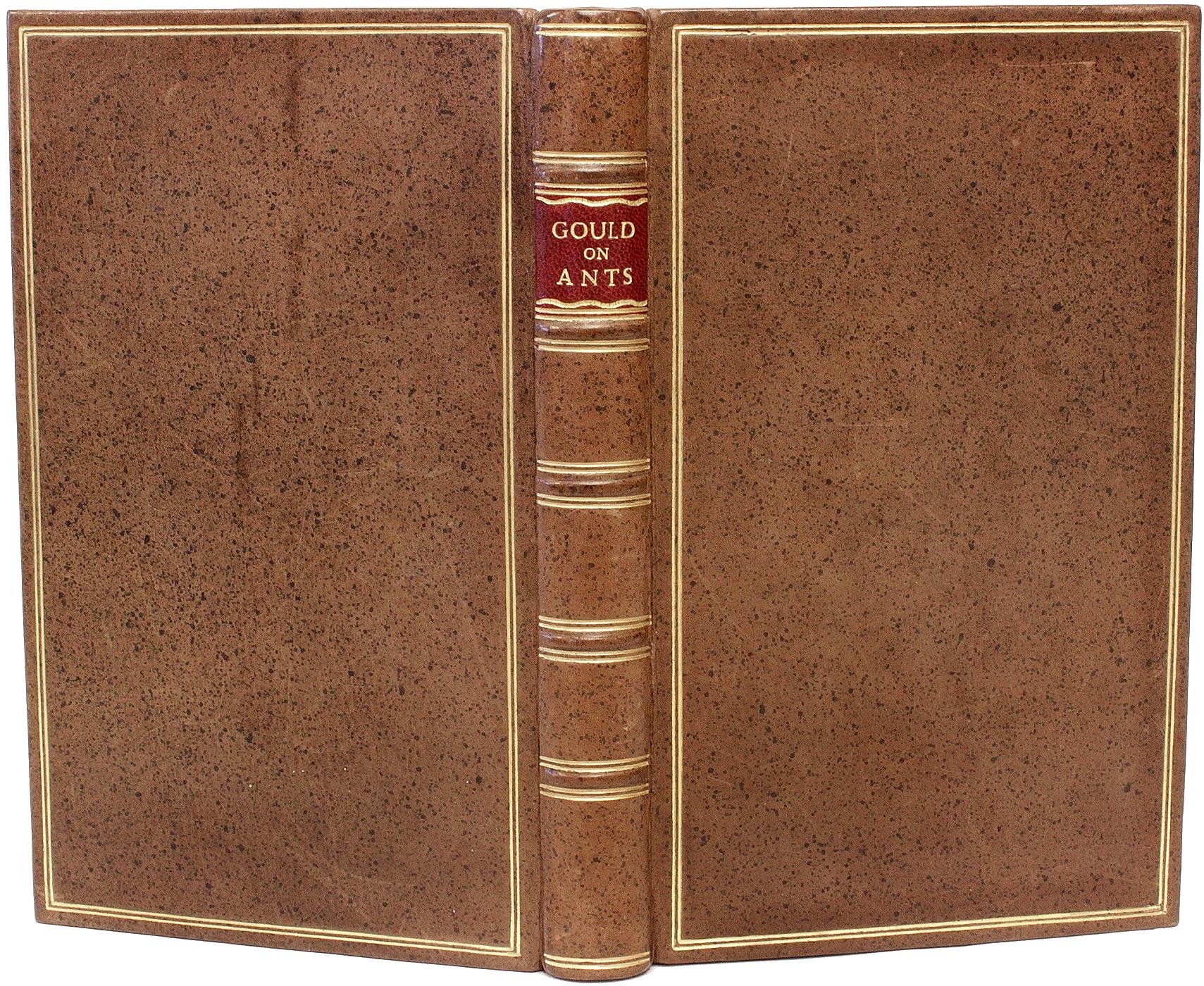 British GOULD, William - An Account of English Ants - 1747 - FIRST EDITION For Sale