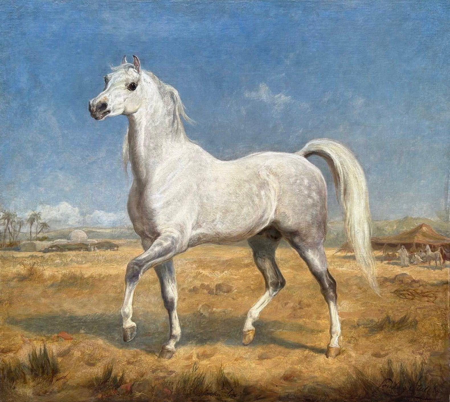 Lord Strathnairm's Arab Charger - Painting by Gourlay Steell