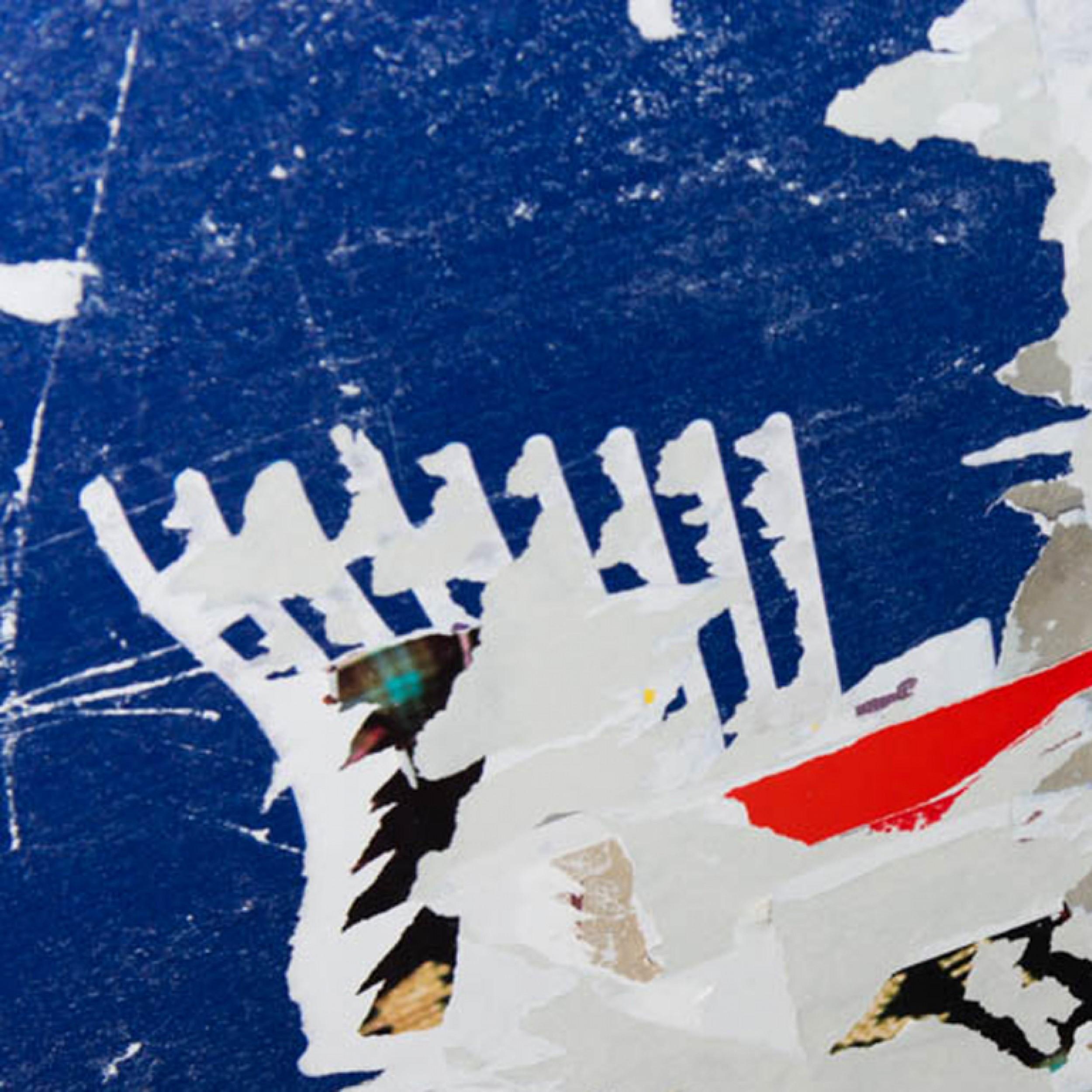 Uccelli in blu, Parigi, 2017, stampa a pigmenti d'archivio di Tristan Govignon, prova d'artista