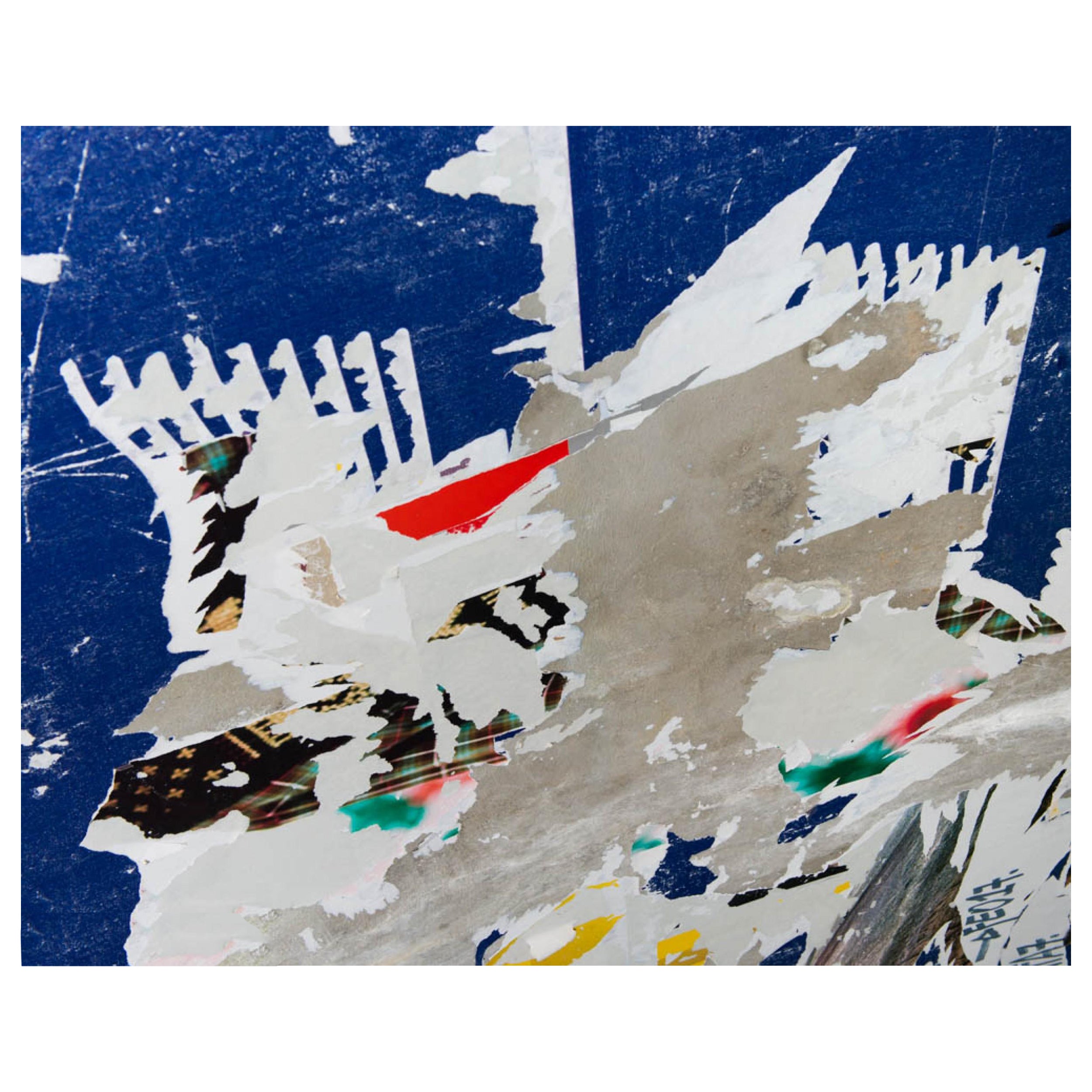 Impression pigmentaire d'art « Birds in Blue » de Govignon