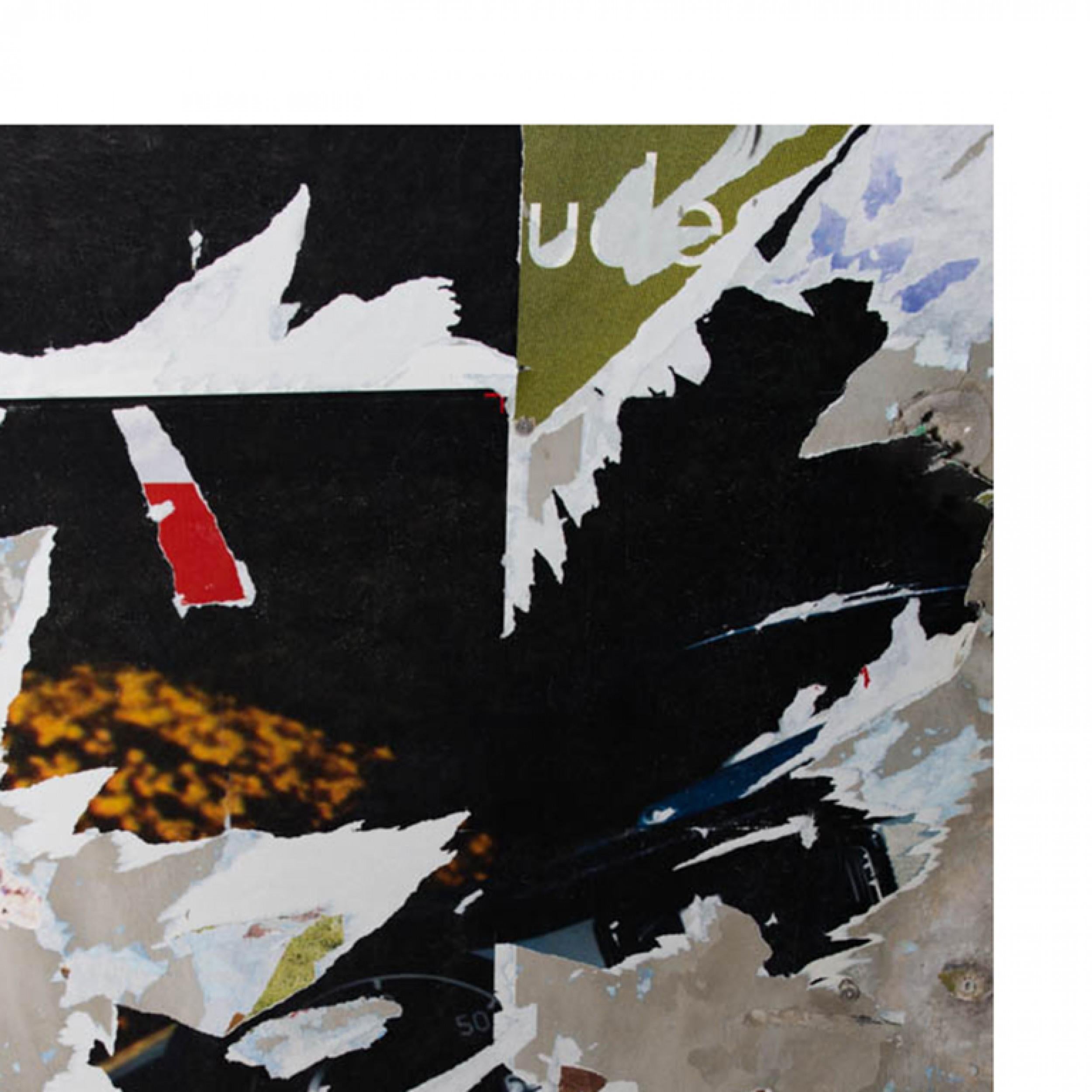 Black Bird, Paris, 2017, stampa a pigmenti d'archivio di Tristan Govignon, edizione 1/7