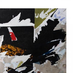 „Black Bird“ – Archiv-Pigmentdruck, modern, signiert, 1/7, 20. Jahrhundert