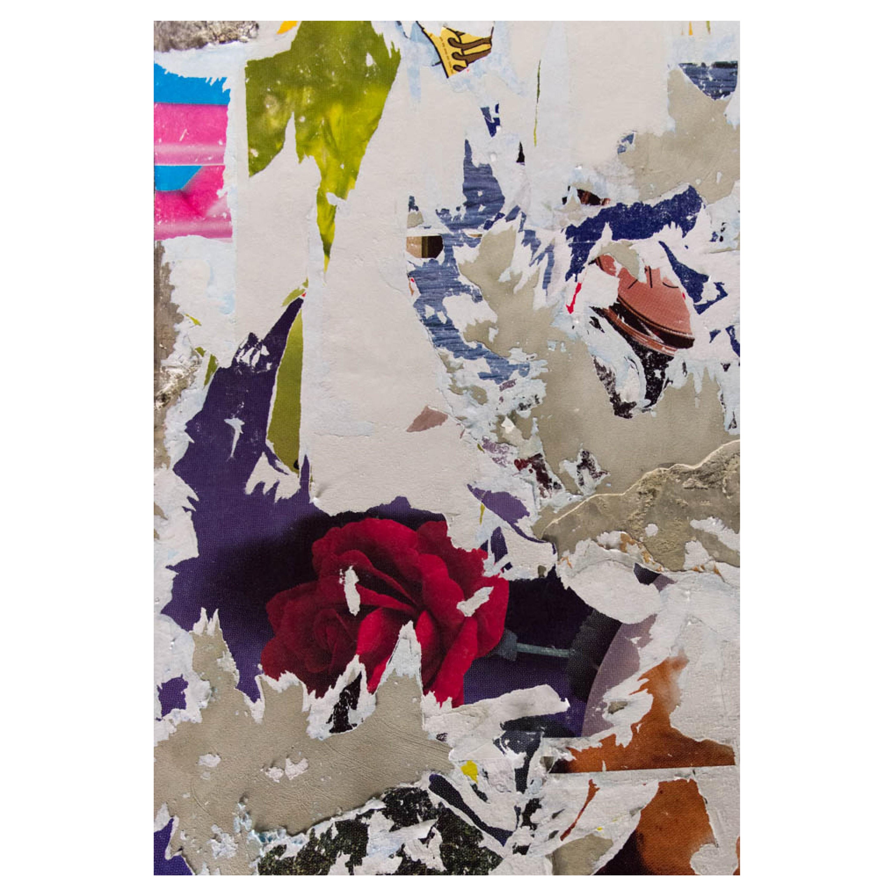 Govignon "Rose" Archival Pigment Print