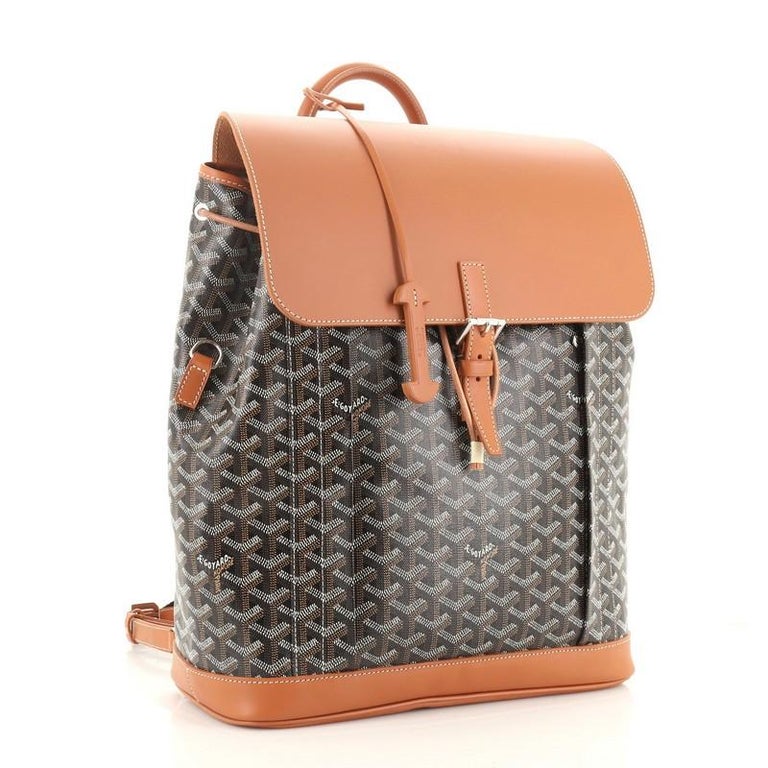 At Auction: Goyard Alpin Backpack Coated Canvas MM Black