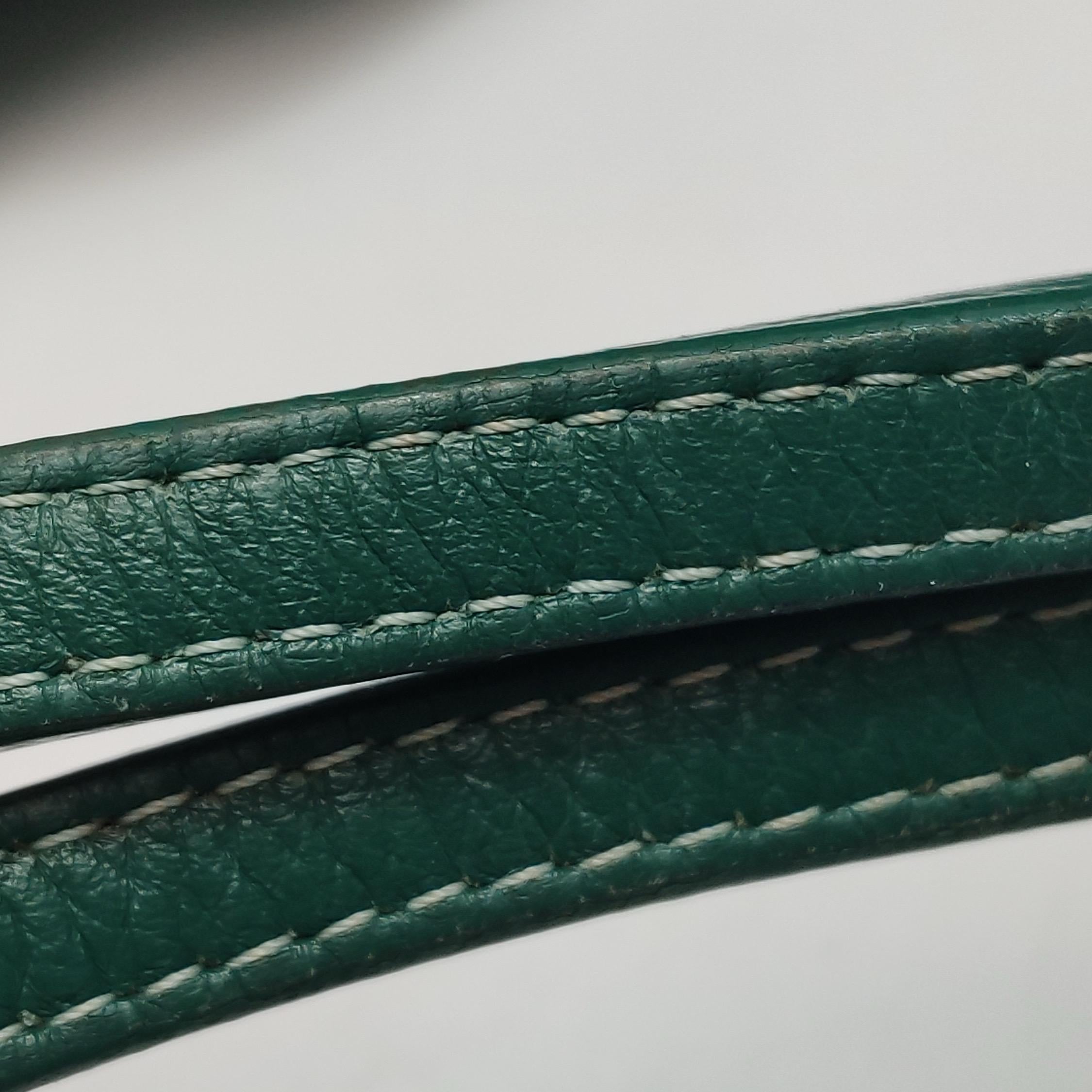 Goyard Anjou Tote GM Large Green Reversible Leather Lining 2018 For Sale 7