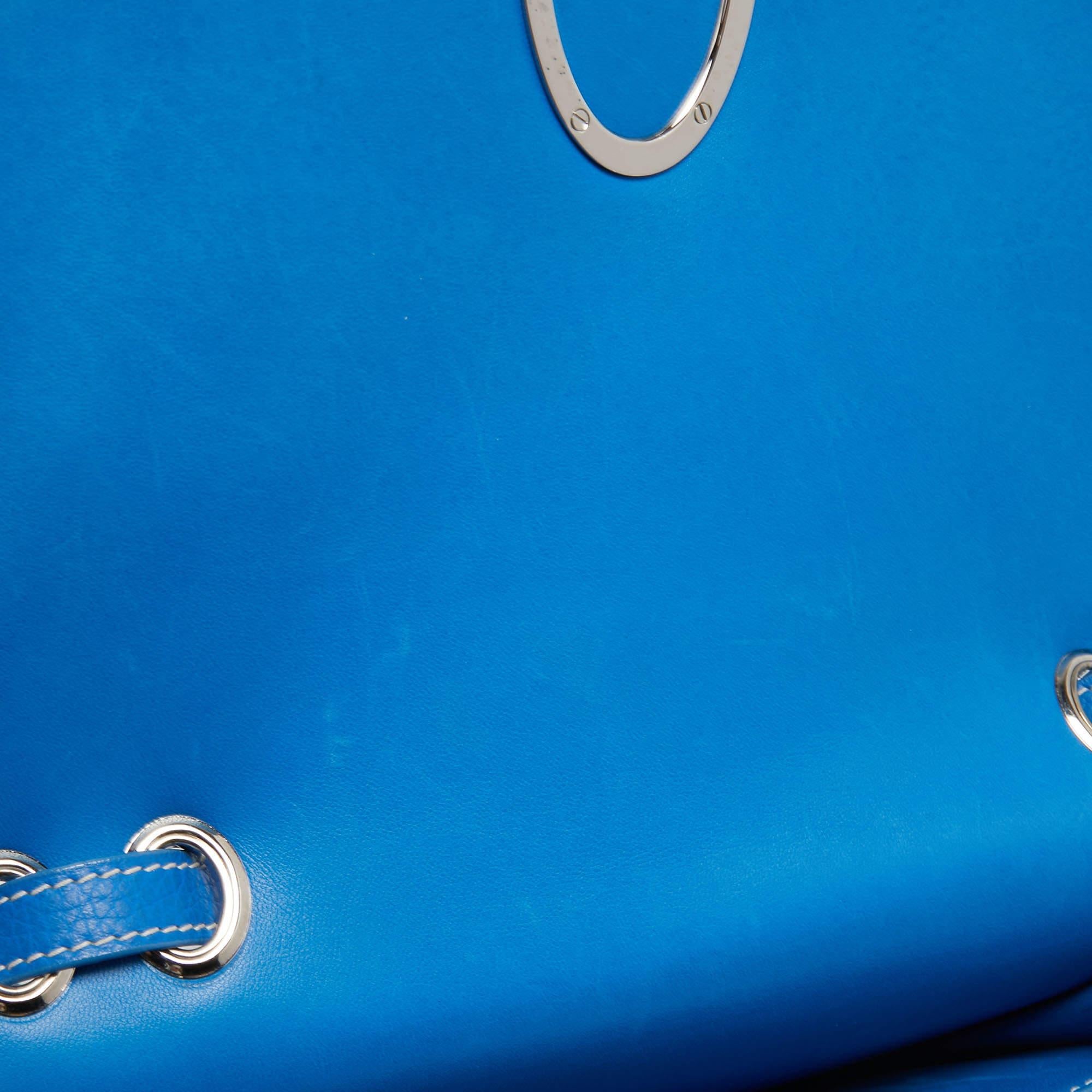 Goyard Blue Ciel Leather 233 Shoulder Bag 10
