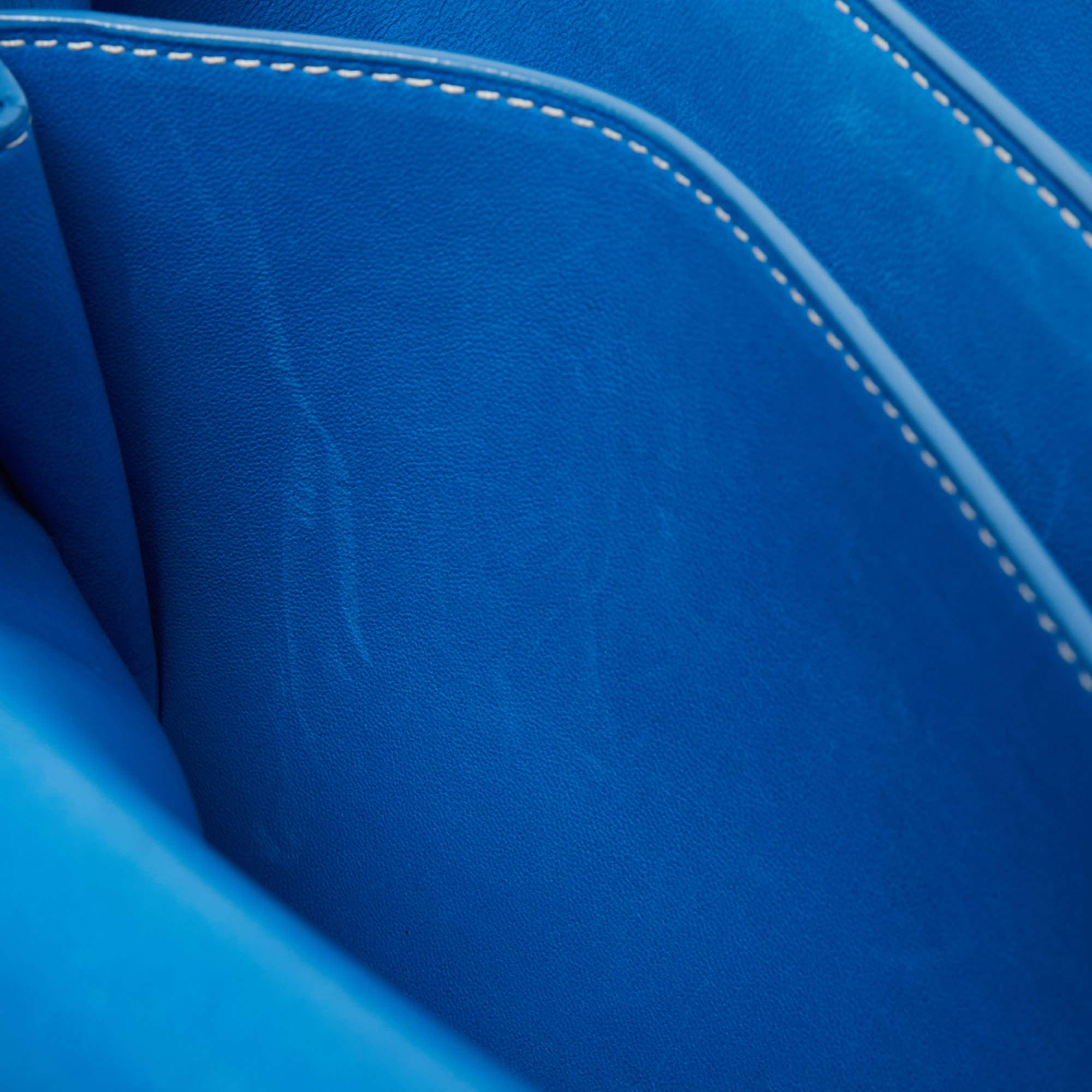 Goyard Blue Ciel Leather 233 Shoulder Bag 12