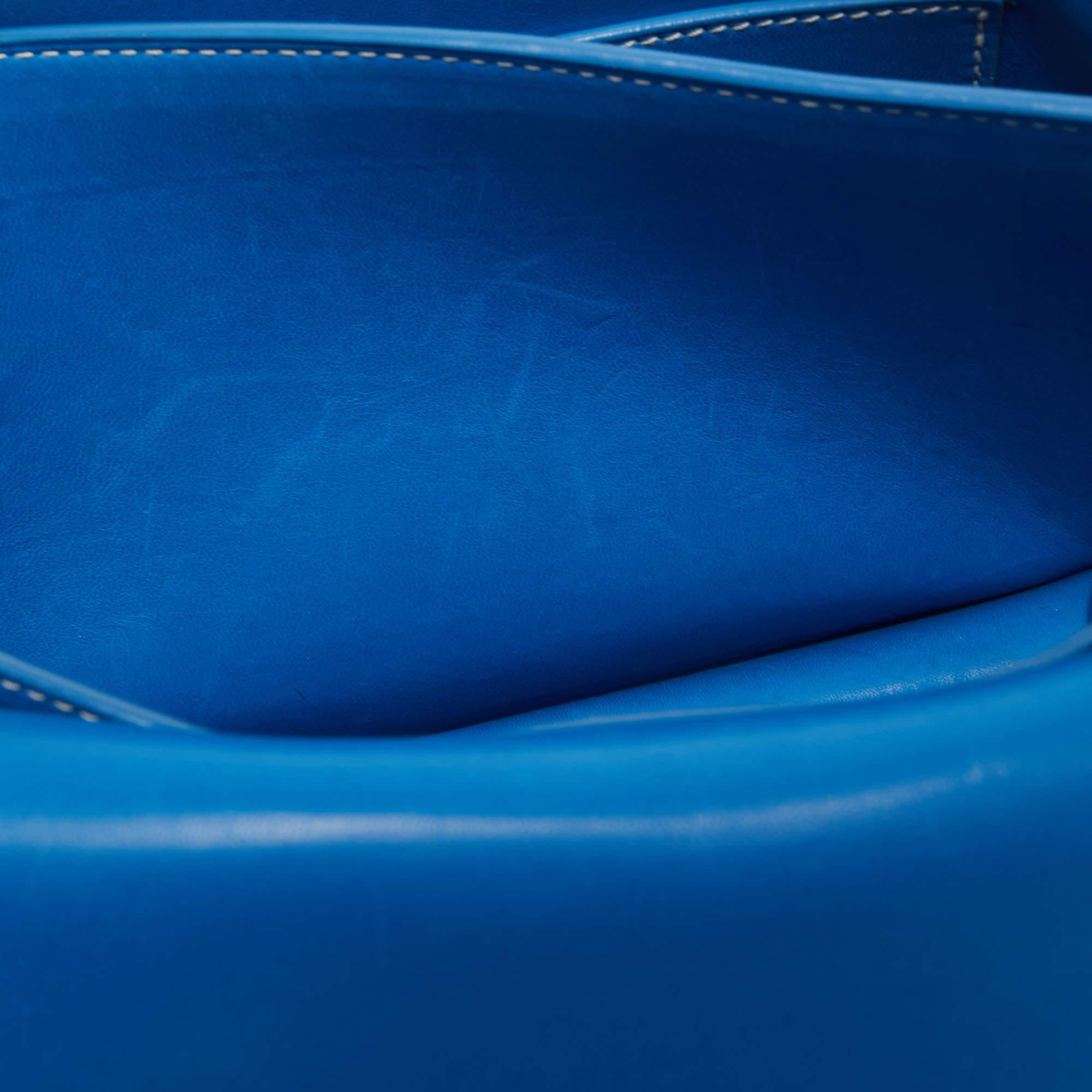 Goyard Blue Ciel Leather 233 Shoulder Bag 15