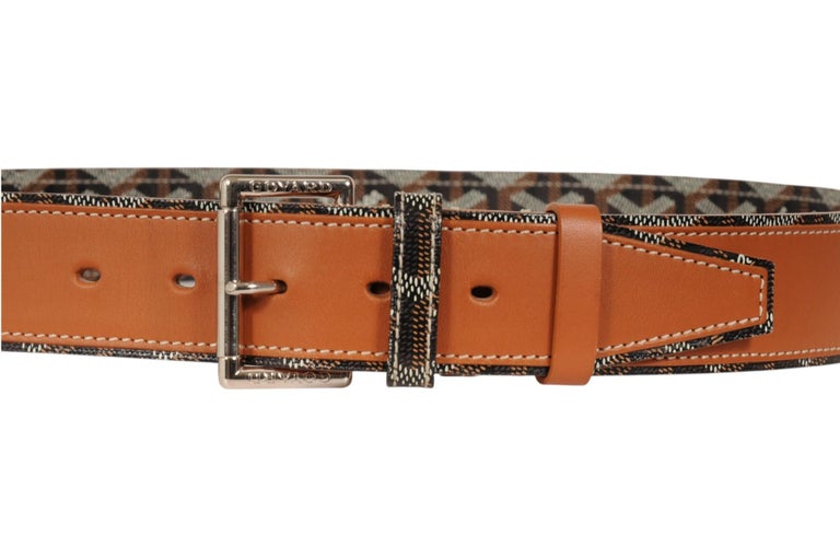 Florida II Belt, image 3 of 13