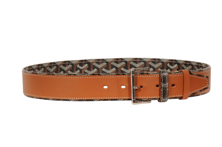 Florida II Belt, image 10 of 13