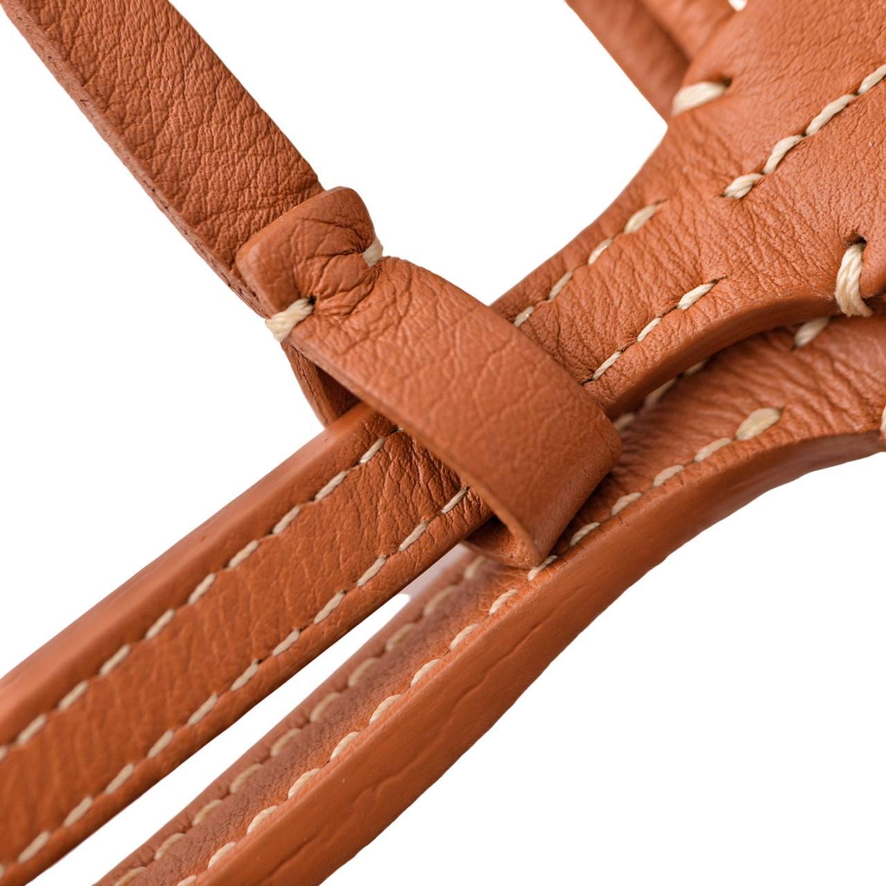 Brown Goyard Goyardine Anjou Canvas Leather Mini Tote Bag For Sale