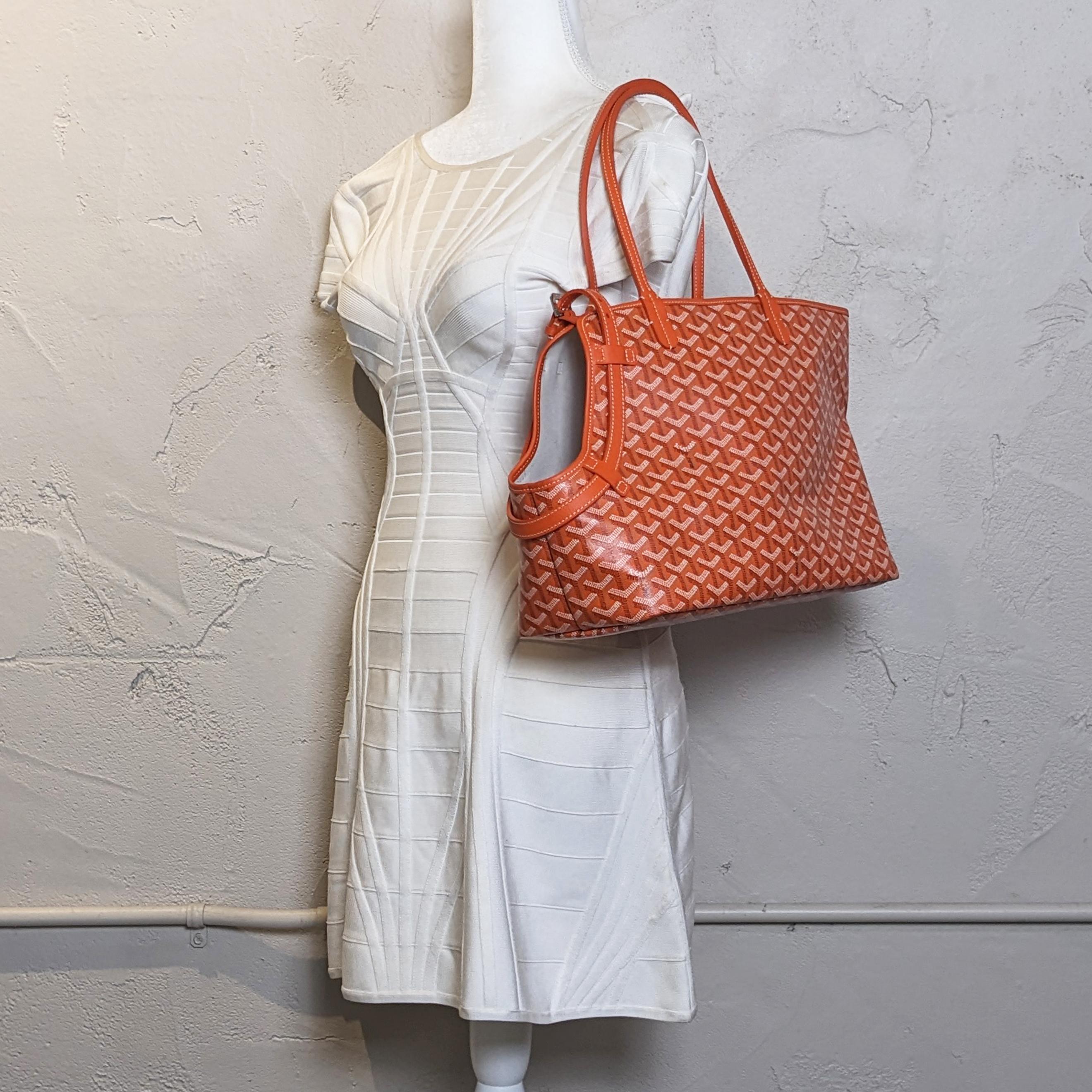 Goyard Goyardine Chien Gris Pet Tote Orange 3