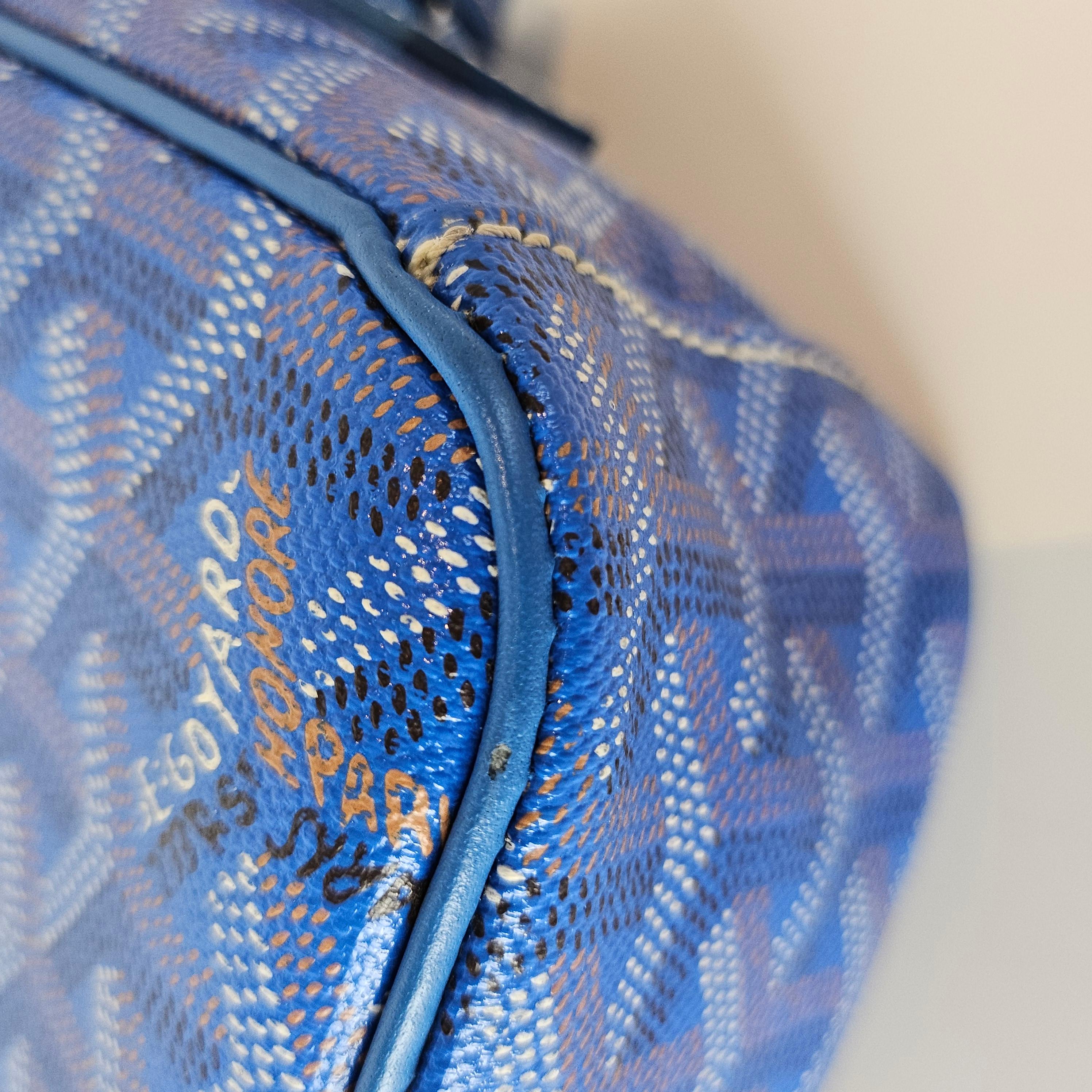 Goyard Goyardine Sac Cap Vert Camera Crossbody Bag Sky Blue 1