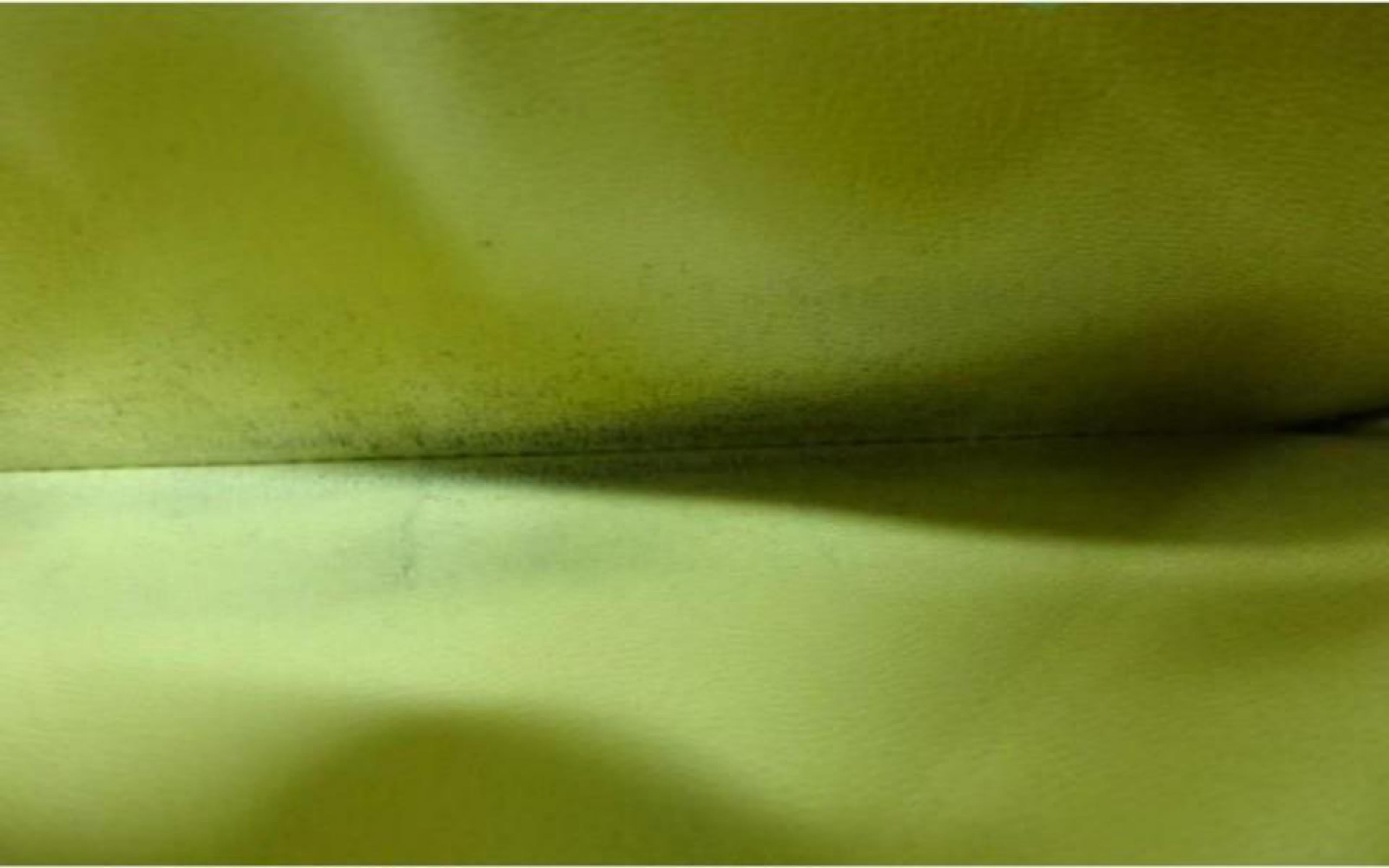 Goyard Green Chevron Matignon Zippy Wallet Zip Around 855712 2