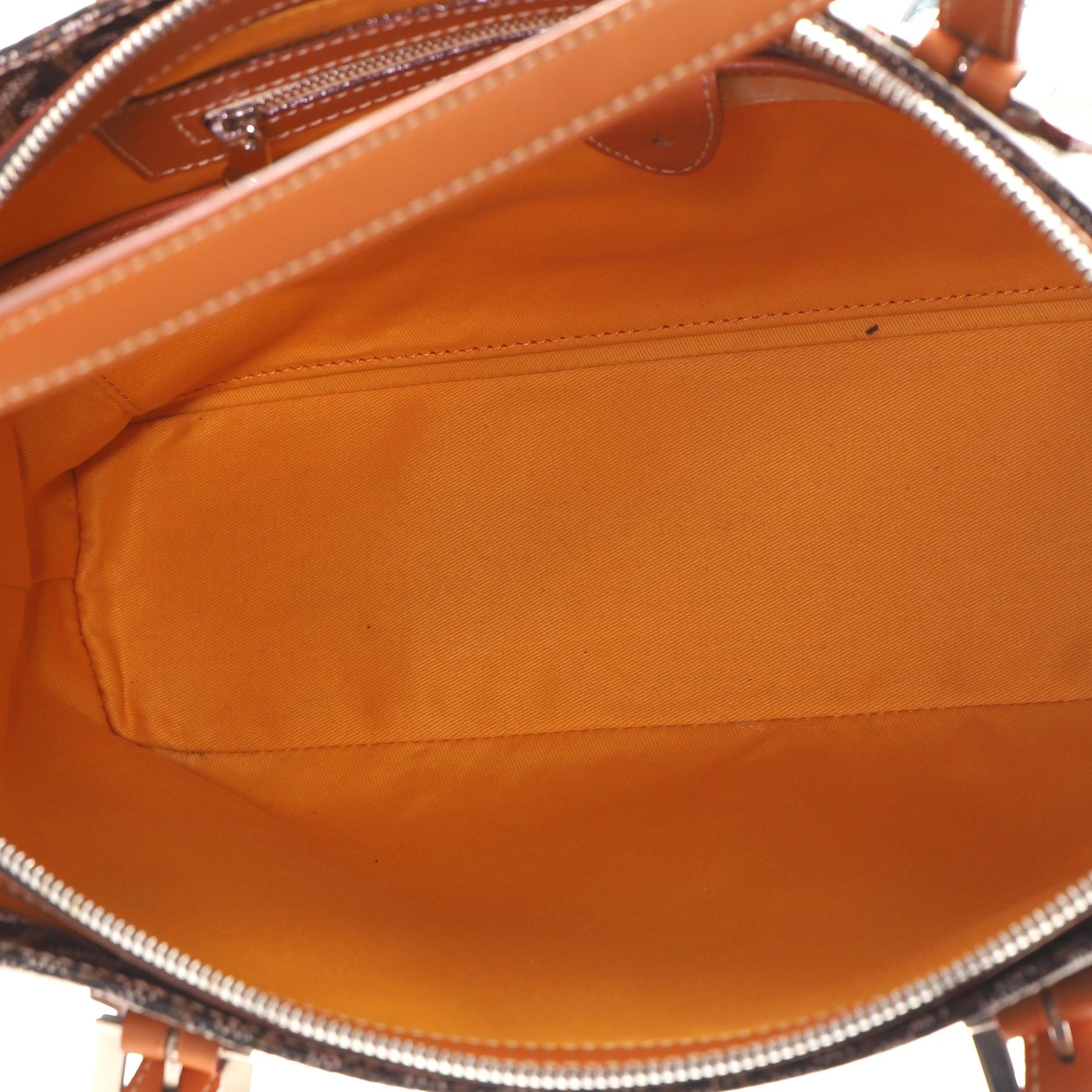 Goyard Okinawa Bag Coated Canvas PM 2