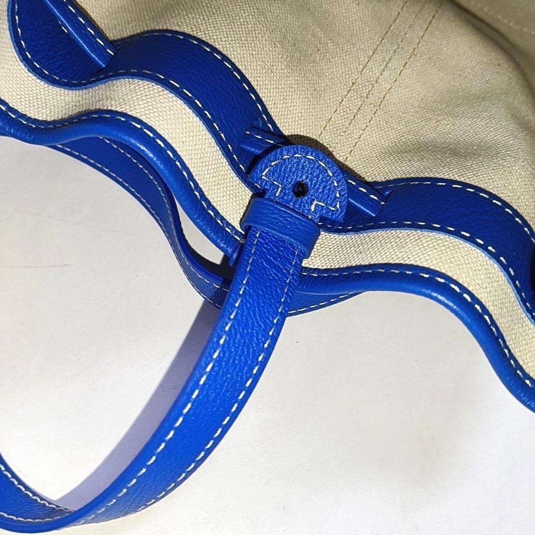 Goyard Petit Flot Drawstring Bucket Bag Blue Goyardine Crossbody Bag 1
