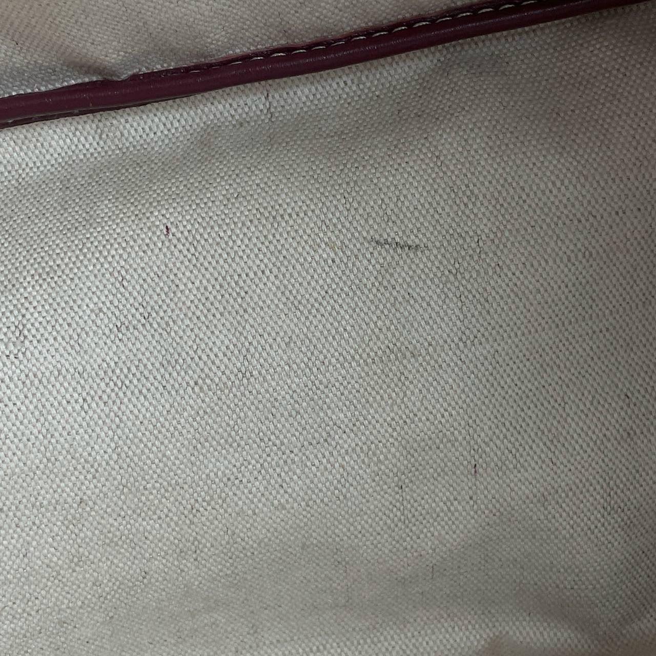 Goyard Saint Louis PM Tote Mediano Burdeos 9
