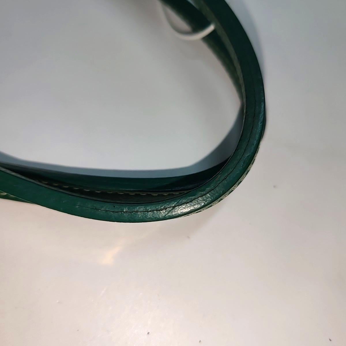 Goyard Saint Louis Tote PM Medium Green 5