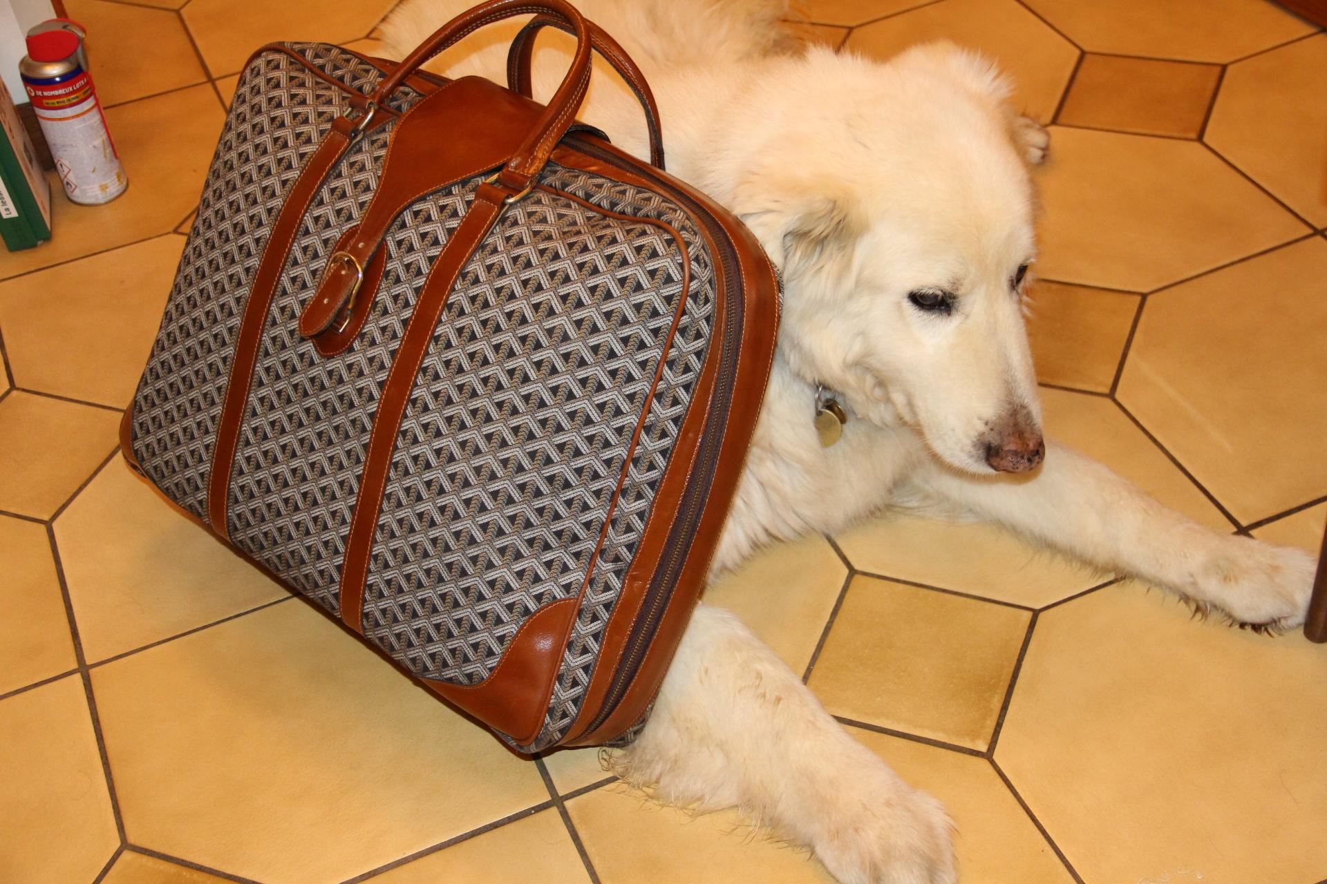 Maleta Goyard de lona tejida, baúl vaporizador Goyard, bolsa de viaje Goyard Marrón en venta