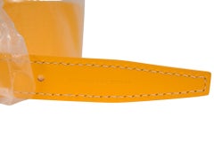 Goyard Yellow Shoulder Side Duffle Bag Alpin Backpack Crossbody Travel Strap