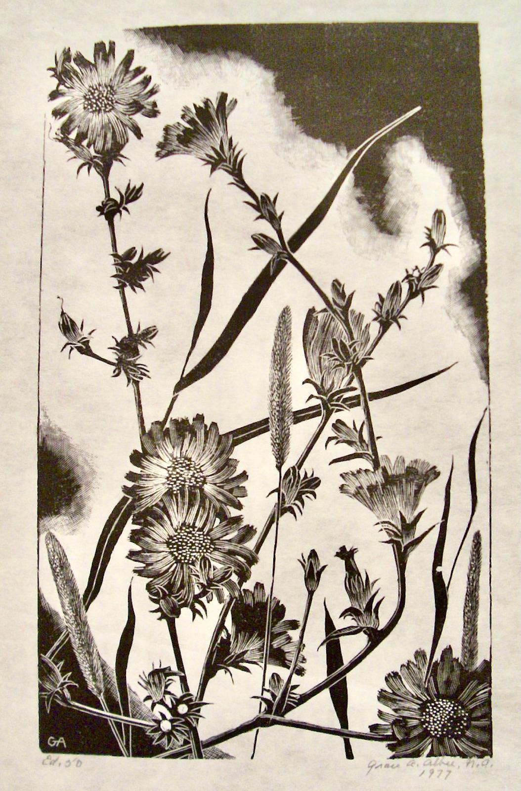 Albee, Grace Landscape Print - (Wild Flowers)