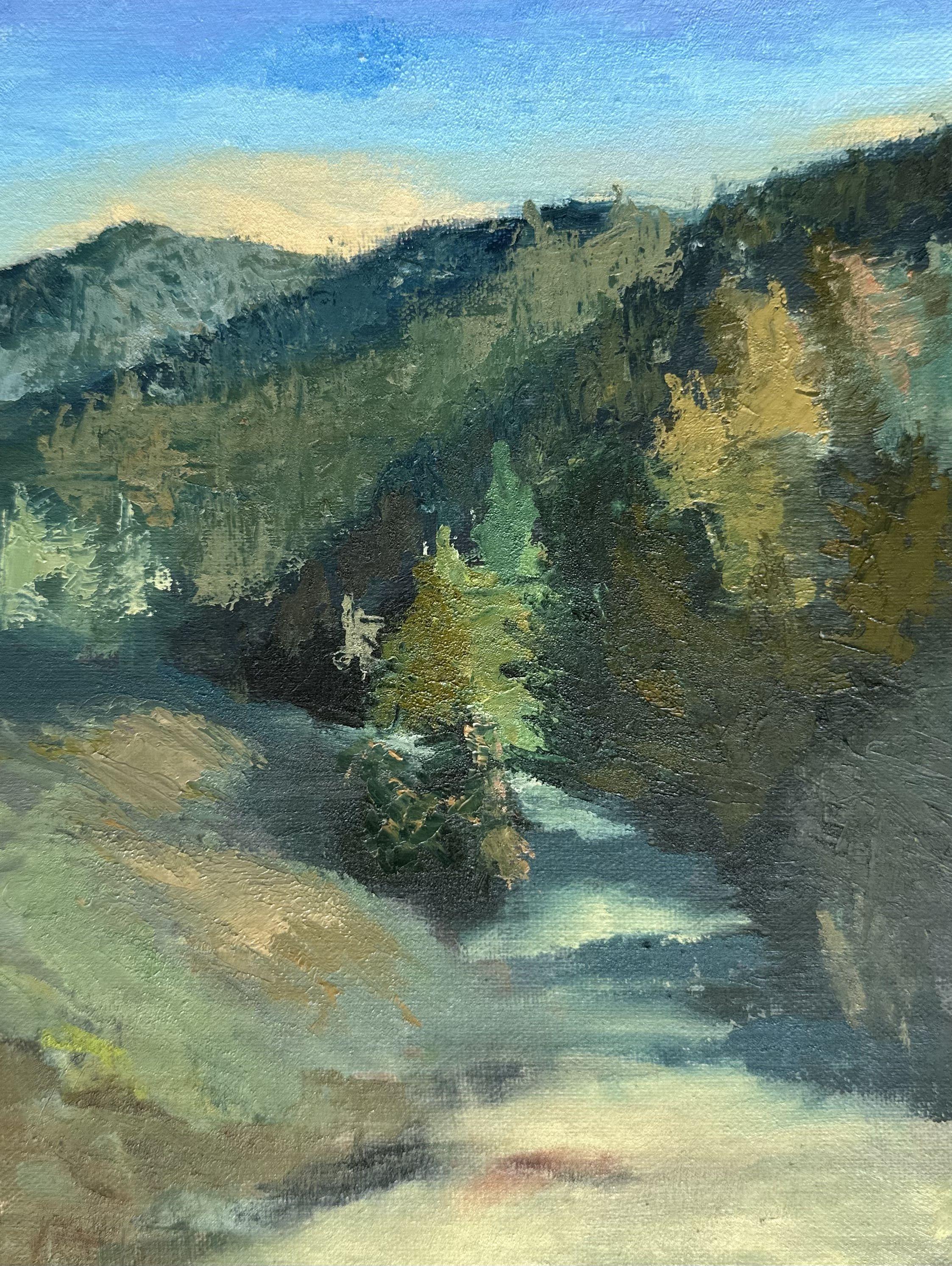 Into the Canyon, Pittura, Olio su tela - Painting di Grace Diehl