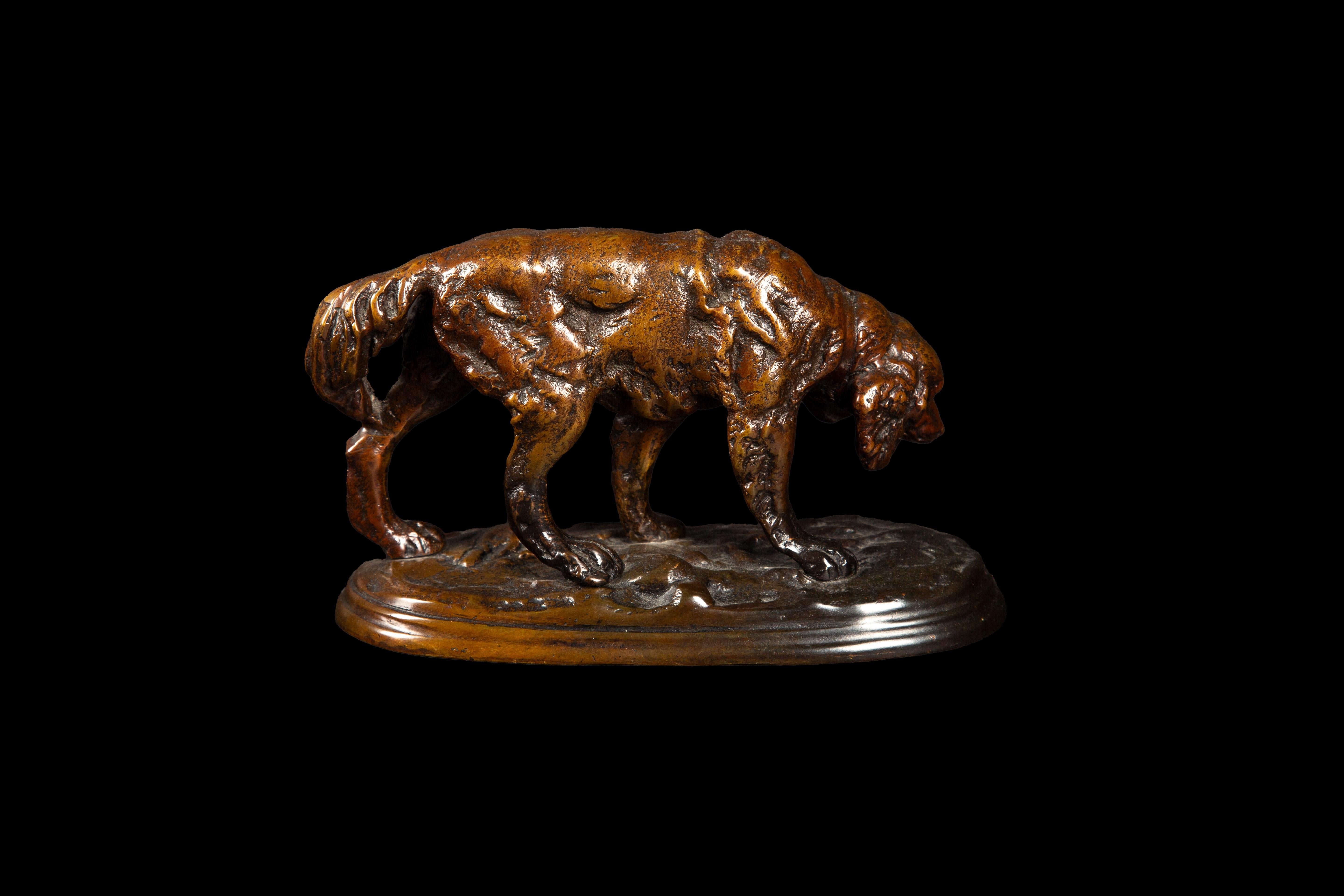 A captivating representation of a hunting setter, this patinated bronze sculpture, crafted by the skilled hands of Thomas François Cartier (1879-1943), encapsulates the timeless grace and spirit of the beloved canine companion. Hailing from