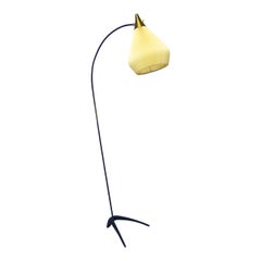 Graceful 1950s Floor Lamp in Steel and Brass by Louis Kalff for Philips