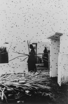 Cementerio [Cemetery], Juchitán, Oaxaca, 1988 - Graciela Iturbide