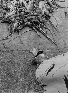 Mercado de Juchitn, (Juchitn-Markt), 1984 – Graciela Iturbide