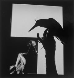 Rayos-X de Pajaro [Raggi X di un uccello], 1999 - Graciela Iturbide (Bianco e nero)